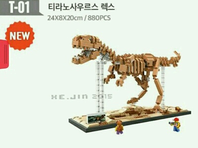 jin2016_0505_0906.jpg