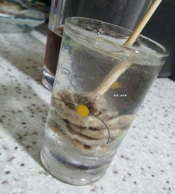 jin17_0820_Gin.jpg