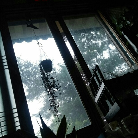 jin17_0907_morning.jpg