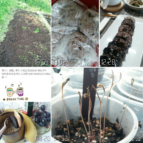 jin17_0411_dairy2.jpg