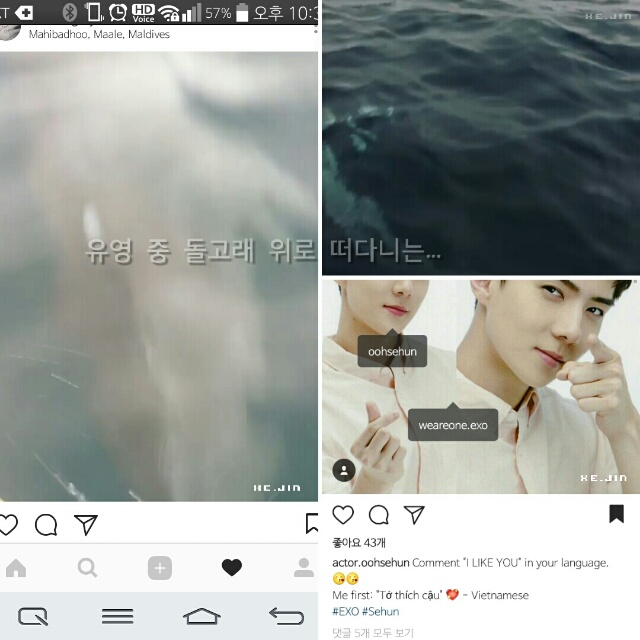 jin17_1017_insta08.jpg